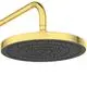 Duschkopf mit runder, flacher Oberfläche in Gold sowie einem grau abgesetzten Teil mit Duschdüsen. Produkt von Ideal Standard.